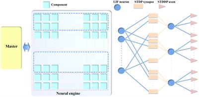 Breaking Liebig’s Law: An Advanced Multipurpose Neuromorphic Engine